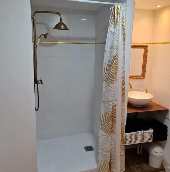 Le « saint-just » Apartment